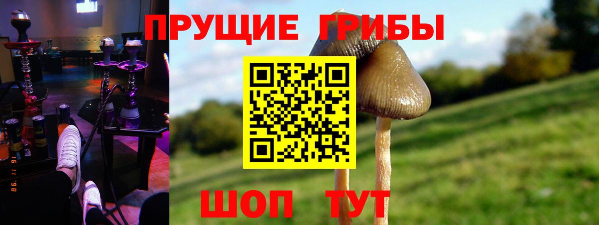 Меф   Экстази  Конопля  Серпухов  ГАШ  Магазины продажи наркотиков  Вход с VPN  COCAIN 